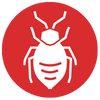 Bed Bug Icon