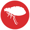 Fleas Icon