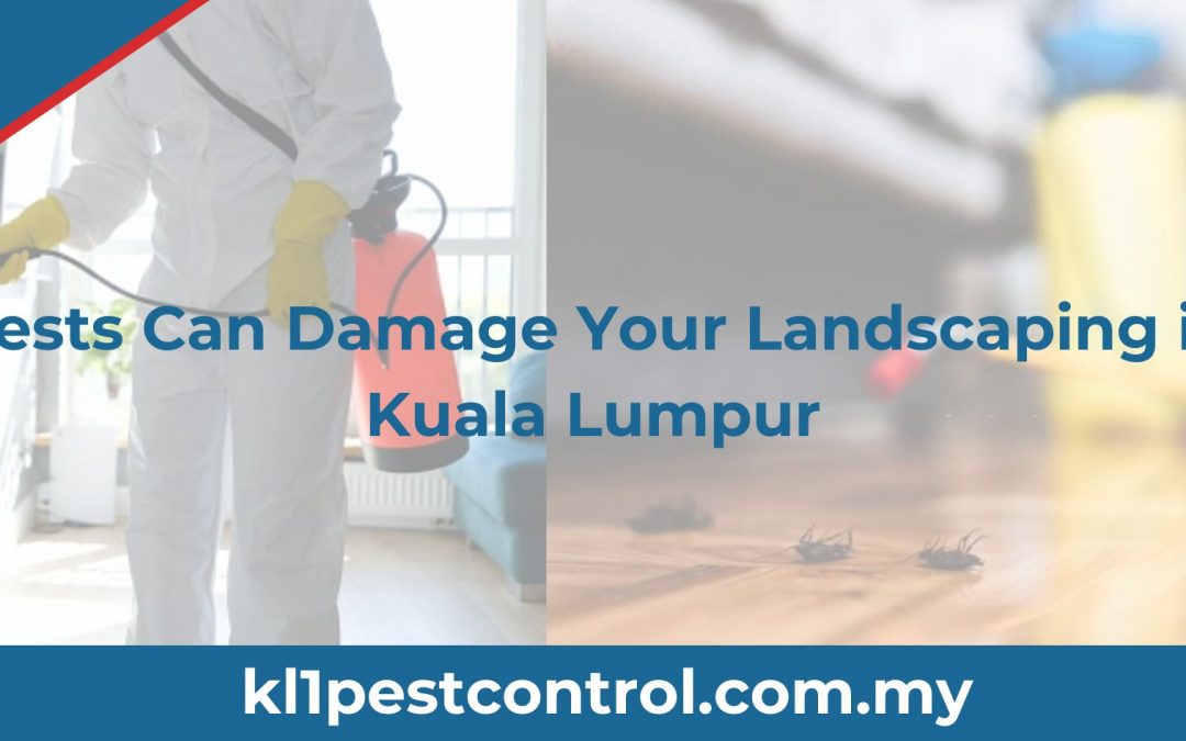 Pests Can Damage Your Landscaping in Kuala Lumpur