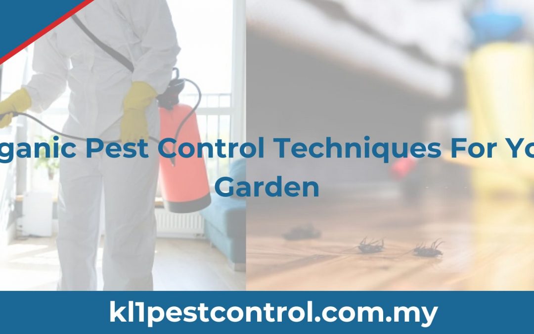 Organic Pest Control Techniques For Your Garden