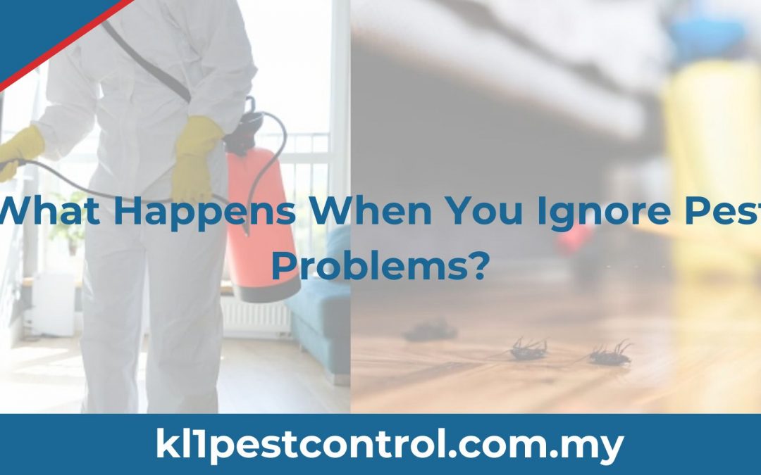 What Happens When You Ignore Pest Problems?
